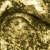 photo12