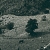 photo13