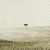 photo4