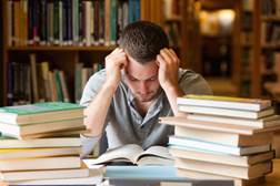 A picture containing text, book, shelf, sitting

Description automatically generated