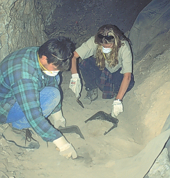 Two Western State College students help remove slumped sediments from the floor of Haystack Cave