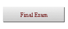 Final Exam