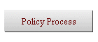 Policy Process