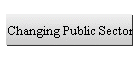 Changing Public Sector