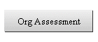 Org Assessment