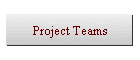 Project Teams