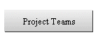 Project Teams