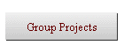 Group Projects