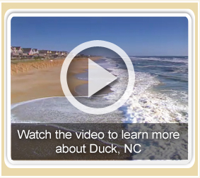 Duck video