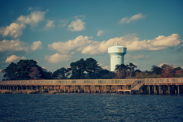 duck water tower