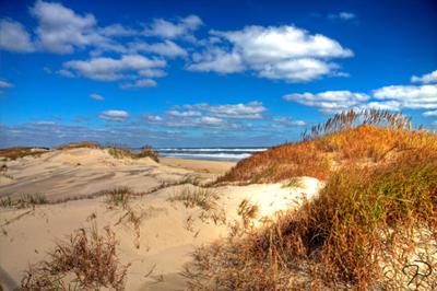 sand dunes