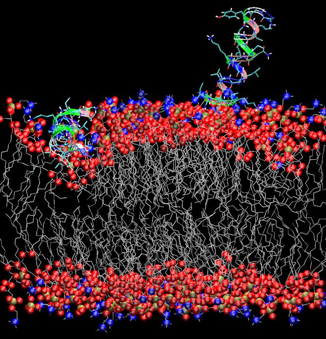 Lipid