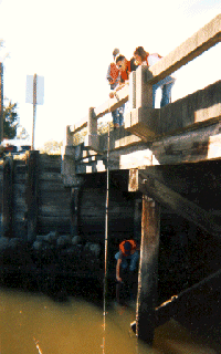 Copy of LALWRBR.GIF (36496 bytes)