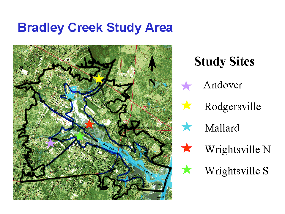 study area.GIF (151079 bytes)