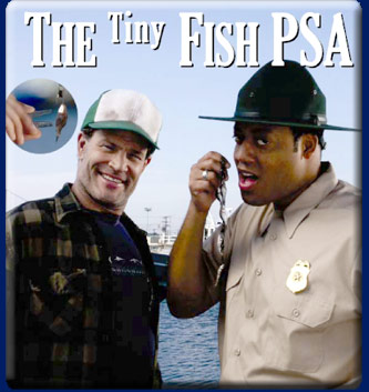 Tiny Fish PSA Ad