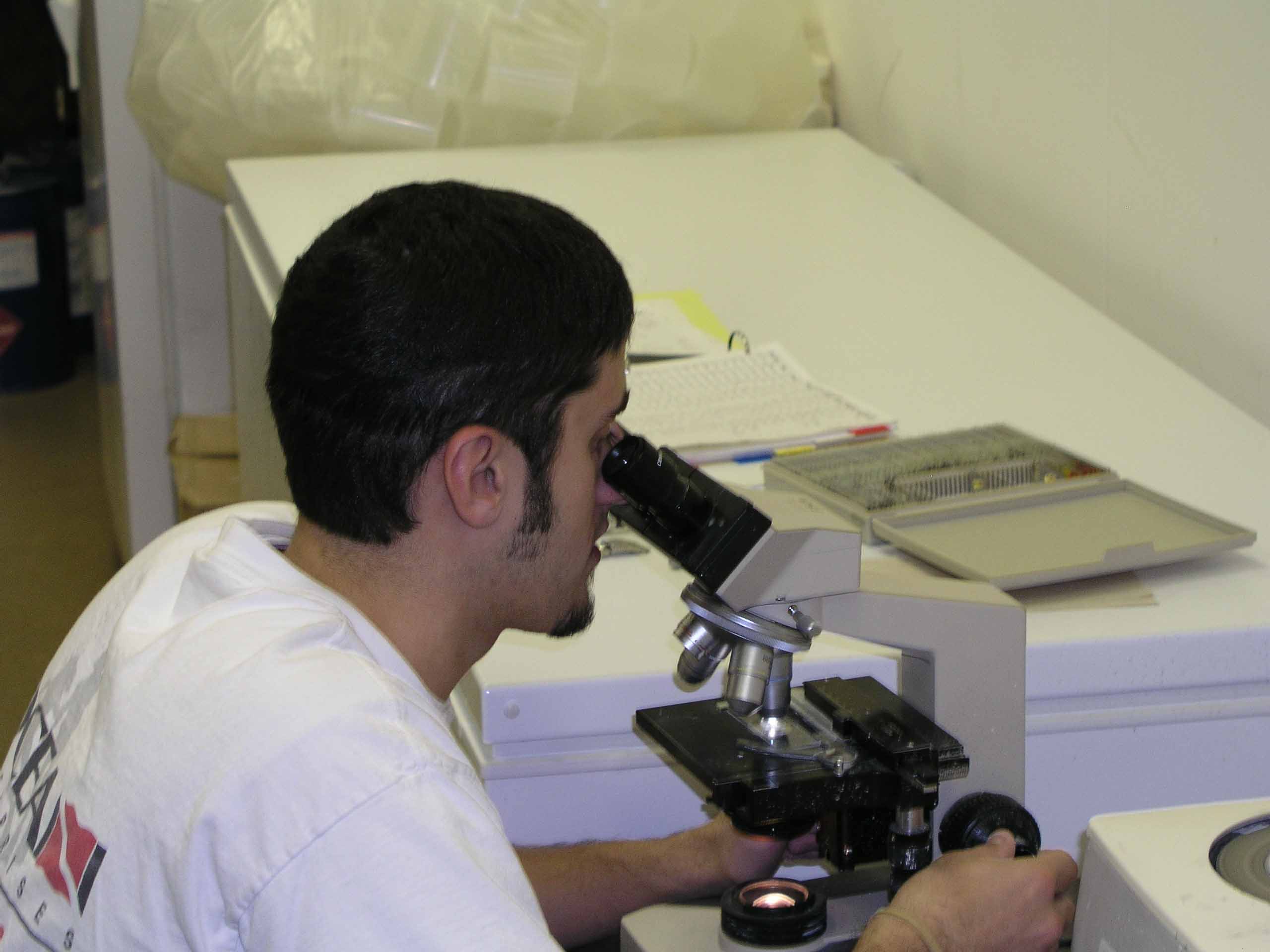 Andy Ostrowski polishing and reading flounder otoliths