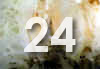 24.jpg (35582 bytes)