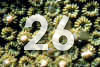 26.jpg (65334 bytes)