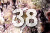 38.jpg (51207 bytes)