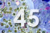 45.jpg (68147 bytes)