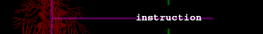 instsruction