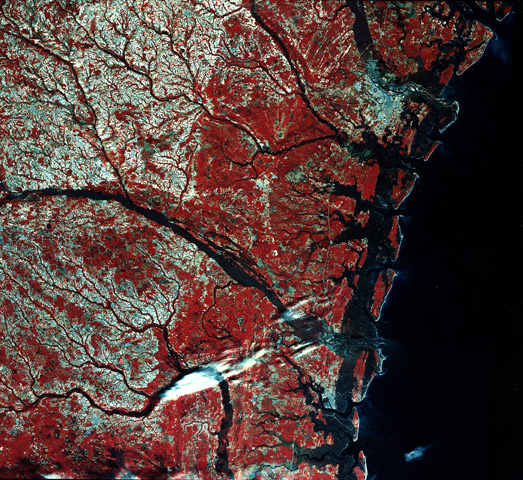 Satellite photo of Georgia coastline