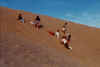 jumpingdune1.jpg (35766 bytes)