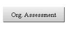 Org. Assessment
