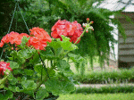 Beauty wherever you look