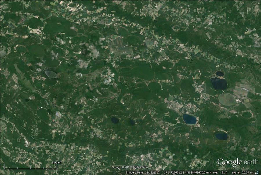 Aerial view of a Carolina Bay