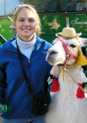 Students take a photo with a llama