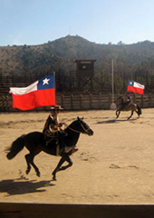 Horseback riding with flag