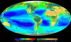 WorldSeaWifs